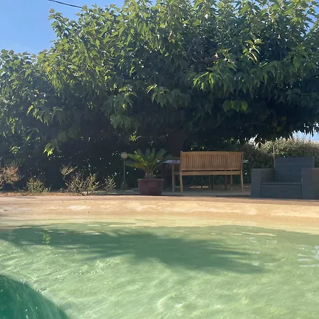 Le Vieux Murier - D'hôte Hyères