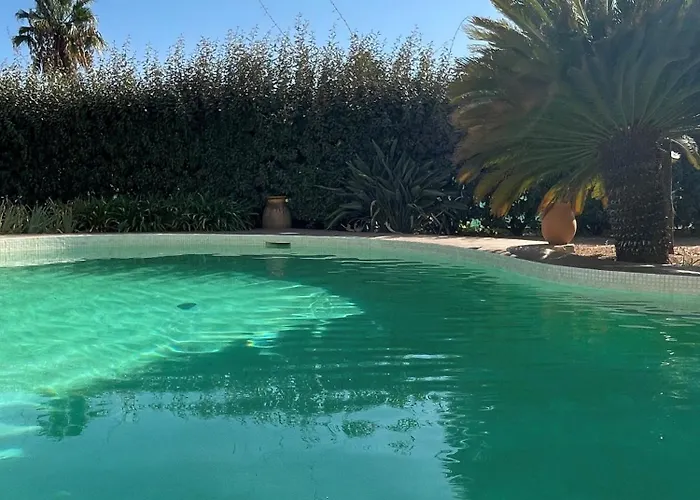 Le Vieux Murier - D'hôte Alojamento de Acomodação e Pequeno-almoço Hyères