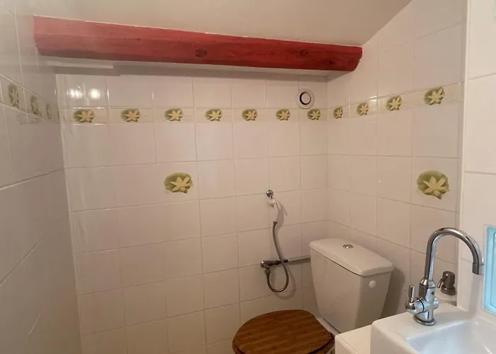 Le Vieux Murier - D'hote * Hyeres