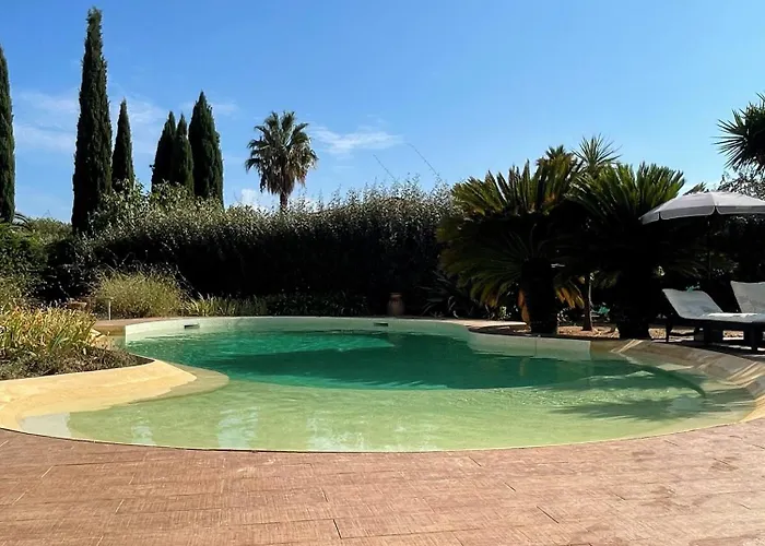 Le Vieux Murier - D'hote Hyeres